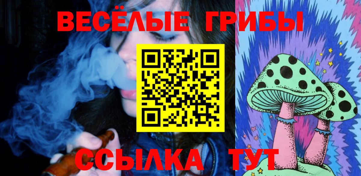 Фролово  Галлюциногенные грибы Cubensis  где можно купить   Вход с VPN 