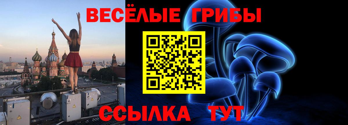 Псилоцибиновые грибы Psilocybine cubensis Фролово